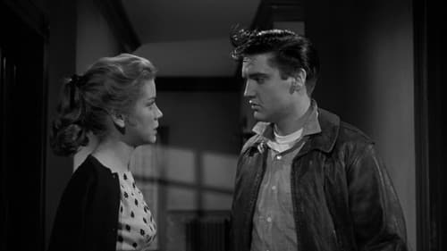 Mein Leben ist der Rhythmus Bild 5