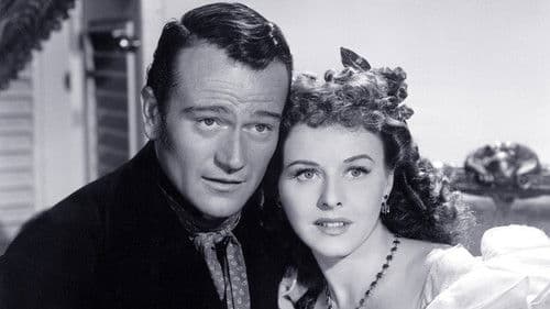 Piraten im karibischen Meer Bild 3