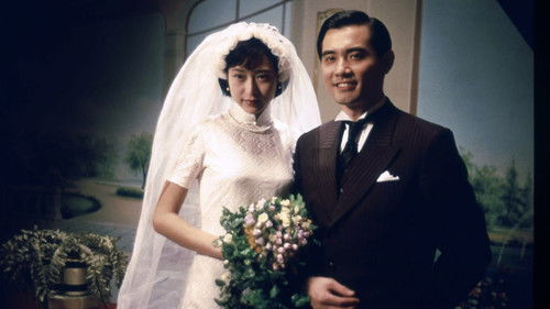 紅玫瑰白玫瑰 Bild 2