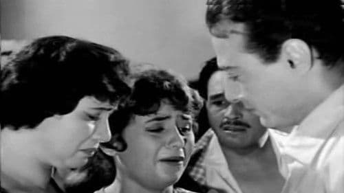 بين السماء والأرض Bild 3