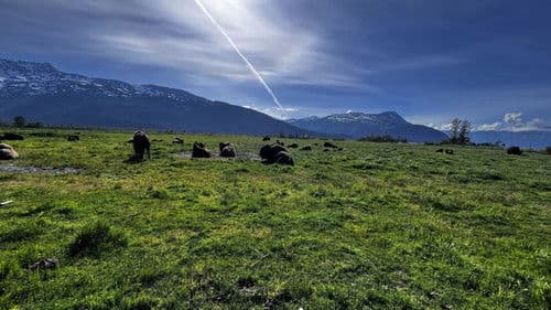 Η ύβρις της ανθρωπότητας Bild 2