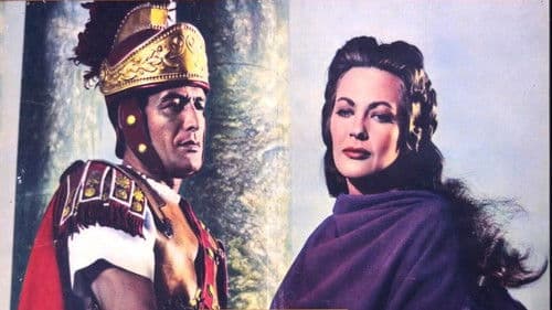 Kreuz und Schwert Bild 3