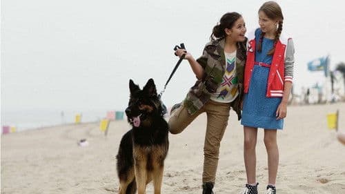 De 4 van Westwijk Bild 1