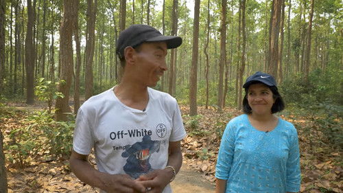 हराएका वर्षहरू Bild 2