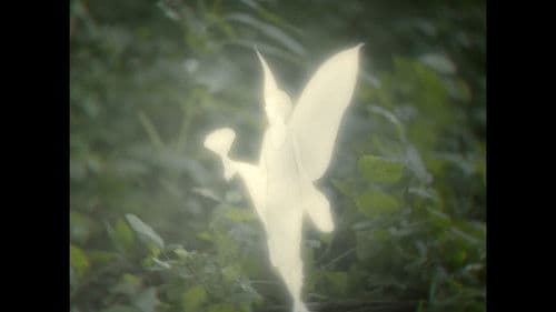 Les fées sont-elles réelles ? Bild 2