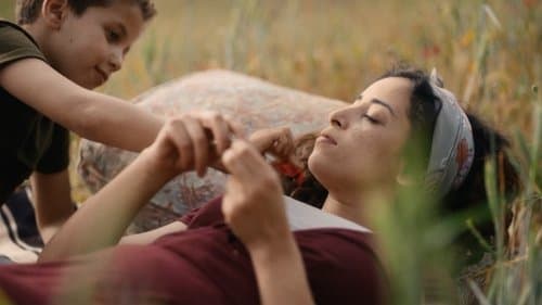 Alle lieben Touda Bild 1