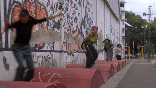 Territorio Skate Bild 4