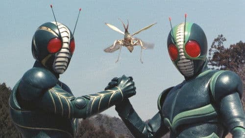 仮面ライダーワールド Bild 1