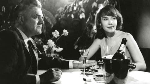 Tulipunainen kyyhkynen Bild 1