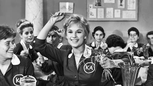 Το Ξύλο Βγήκε Απ' τον Παράδεισο Bild 2