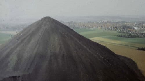 La Cabale des oursins Bild 1