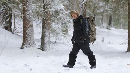 Ёлки новые Bild 2