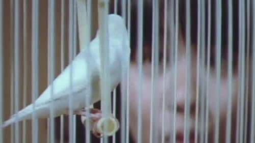 女刑務所 ザ・私刑 Bild 4