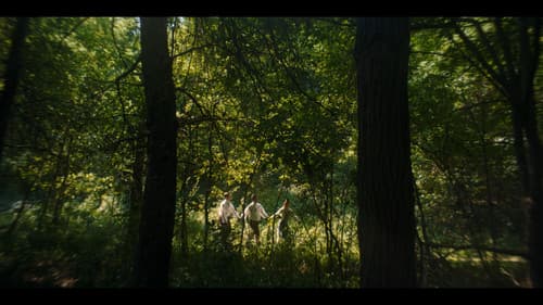 Midnight Coachmen Bild 5