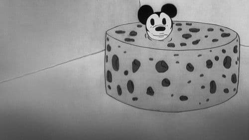 Ist die Katze aus dem Haus ... Bild 7