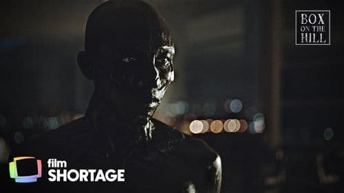 Box on the Hill Bild 4