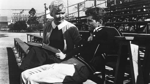 Der Tod hat schwarze Krallen Bild 4