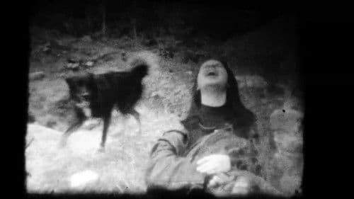 Winter wird nicht sein Bild 3