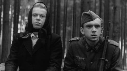 Wagen nach Wien Bild 4