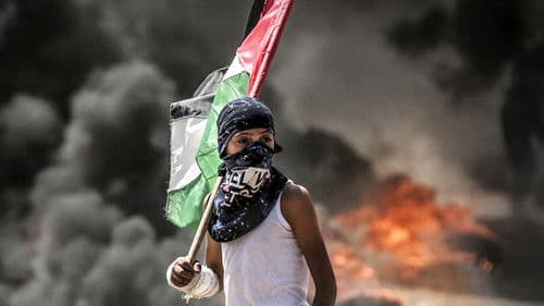 One Day in Gaza Bild 1