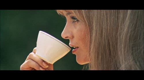 Venus im Pelz Bild 3