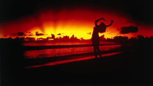 Castaway - Die Insel Bild 3