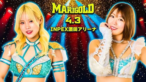 Marigold Spring Victory Series 2026 ~ Day 7 Bild 1