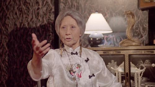 American Rikscha Bild 4