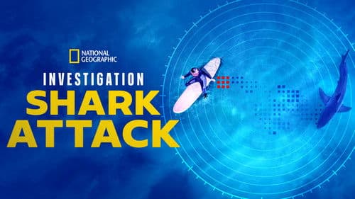 Investigation Shark Attack Bild 3