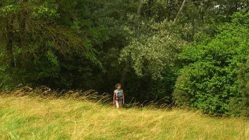 Contes de Juillet Bild 3