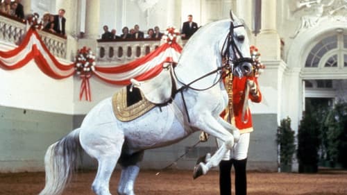 Flucht der weissen Hengste Bild 2