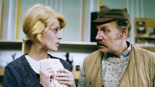 Die Notlösung Bild 8