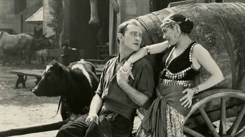 The Exquisite Sinner Bild 1