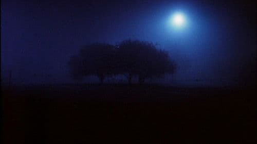 In Order Not to Be Here Bild 6