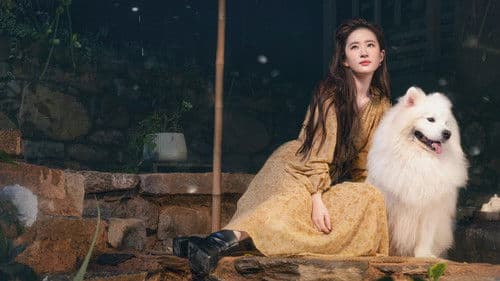 去有风的地方 Bild 6