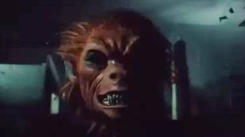 Body Count - Mathematik des Schreckens Bild 3