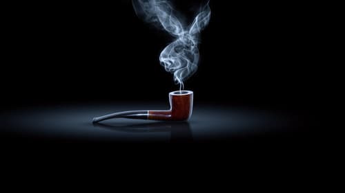 Secrets of Playboy Bild 5