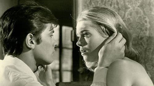 Wie Raubkatzen Bild 5