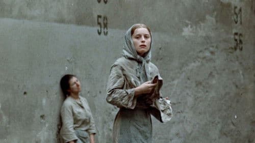 ...a pozdravuji vlaštovky Bild 3