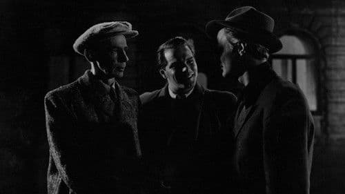 Liebe nach Noten Bild 7