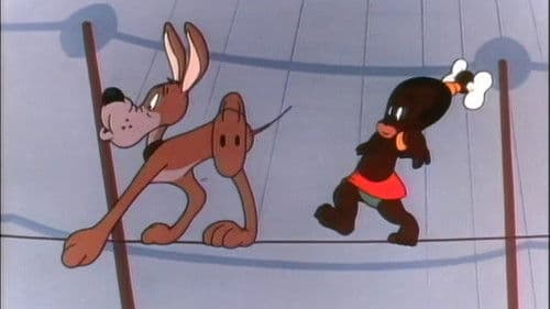 Inki im Zirkus Bild 1