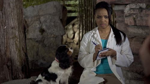 Dr. Dolittle 4 Bild 4