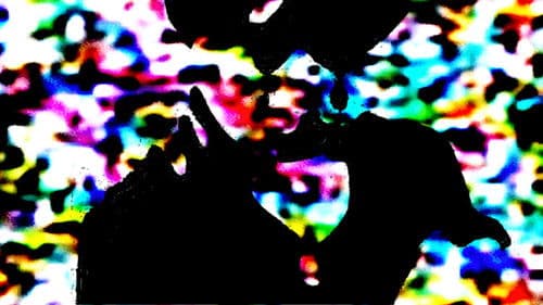 Macabre Metrics Bild 1