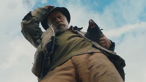 Lebensansichten eines Huhns Bild 2