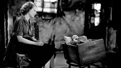 Tess of the Storm Country Bild 1