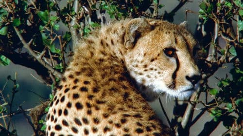 The End of the Game Bild 2