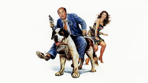 Vai avanti tu che mi vien da ridere Bild 2