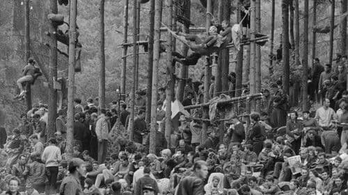 Perlen auf dem Meeresgrund Bild 6