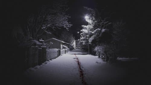 The Valhalla Murders Bild 1