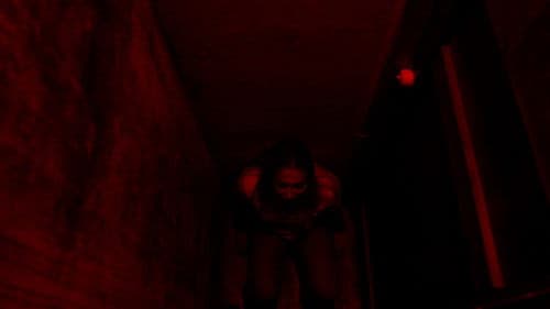 Destination Gotland Bild 2